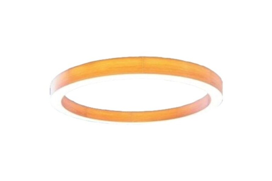 Donut Light
